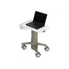 Stojak na laptop Ergotron C50-1100-0 Szary 39,6 cm