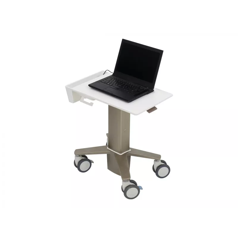 Stojak na laptop Ergotron C50-1100-0 Szary 39,6 cm