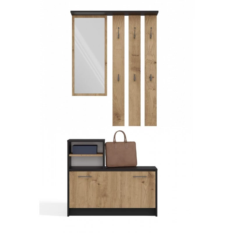 Szafka w przedpokoju top e shop GAR ANT/ART z 1 drzwiami uchylnymi, 850×240×1600 mm