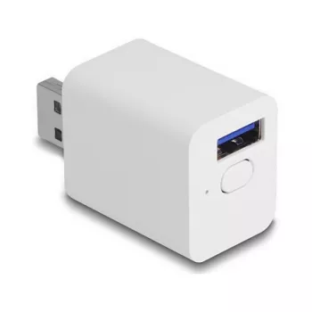 Inteligentna wtyczka DELOCK 11832 — wewnętrzne inteligentne gniazdko Wi‑Fi, 2 A, 2400 MHz, biała