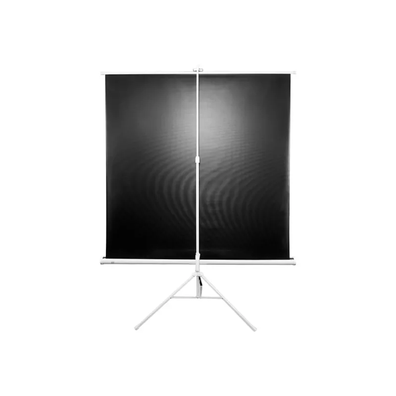 Ekran projekcyjny na statywie Elite Screens T120NWV1 3,05 m 4:3