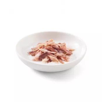 SCHESIR Tuńczyk z wołowiną w galarecie - mokra karma dla kota - 85g
