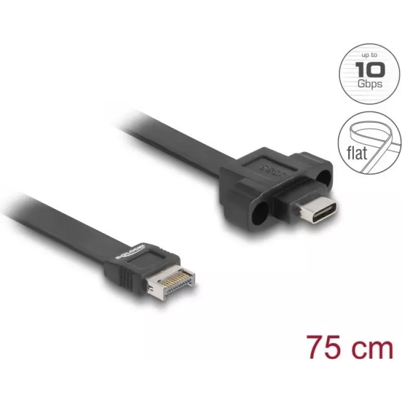 Kabel płaski DeLOCK USB Typ‑E Key A 20‑pin męski do USB Typ‑C żeński 75 cm