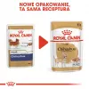 Mokra karma dla psa Royal Canin Chihuahua Adult saszetka 85 g — drób, dla dorosłych Chihuahua 1–1,9 kg