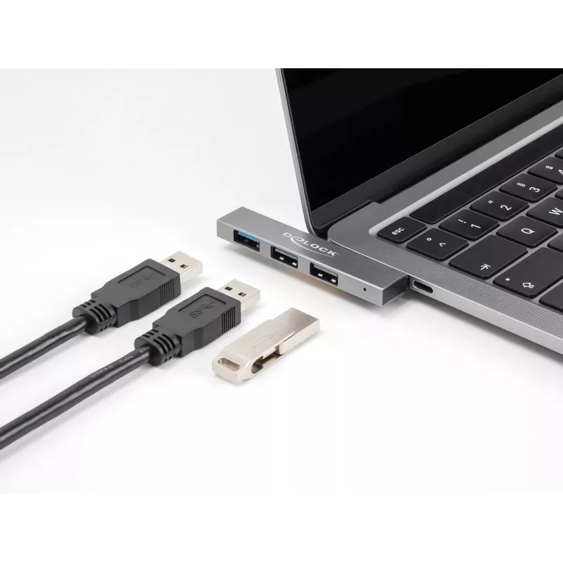 DeLOCK 3 Port cienki Hub USB USB Type-C 10 Gbps 2 x USB 2.0