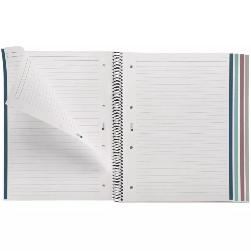 MIQUELRIUS Zeszyt studencki Eco Design 4 linie DIN A4 z marginesem (A604490)