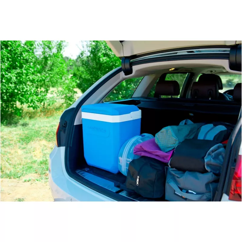Cool Box Campingaz Icetime Plus 30L