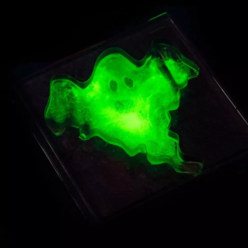 Zestaw naukowy Liscianigiochi Crazy Science Slime w ciemności 304-PL89239 — zestaw do eksperymentów ze świecącym w ciemności slime'em