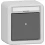 GIRA Rocker Switch 311630 wskaźnikowy przełącznik BSF WG AP gr (311630)