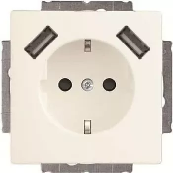 Busch-Jaeger SCHUKO-2x USB gniazdko 20 EUCB2USB-884 (2CKA002011A6277)