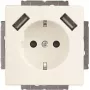 Busch-Jaeger SCHUKO-2x USB gniazdko 20 EUCB2USB-884 (2CKA002011A6277)