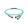 Molex PN pasywny kabel światłowodowy MMF MPO12 APC 7 m