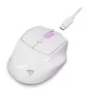 Sharkoon OfficePal M25W bezprzewodowa mysz biurowa, praworęczna, 4000 DPI