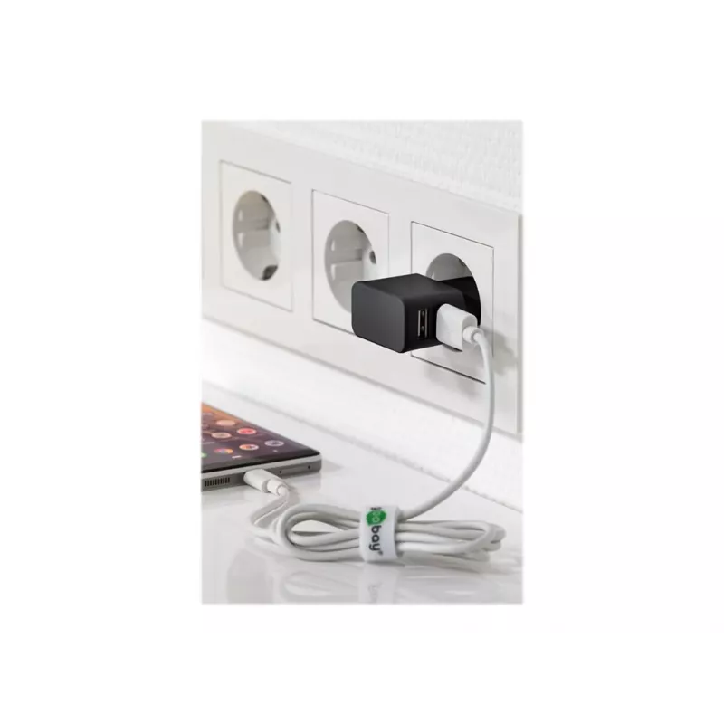 Wentronic goobay Ładowarka Dual USB - Zasilacz - 12 Wat - 2,4 A - 2 Porty wyjściowe (USB) - Czarny (44951)