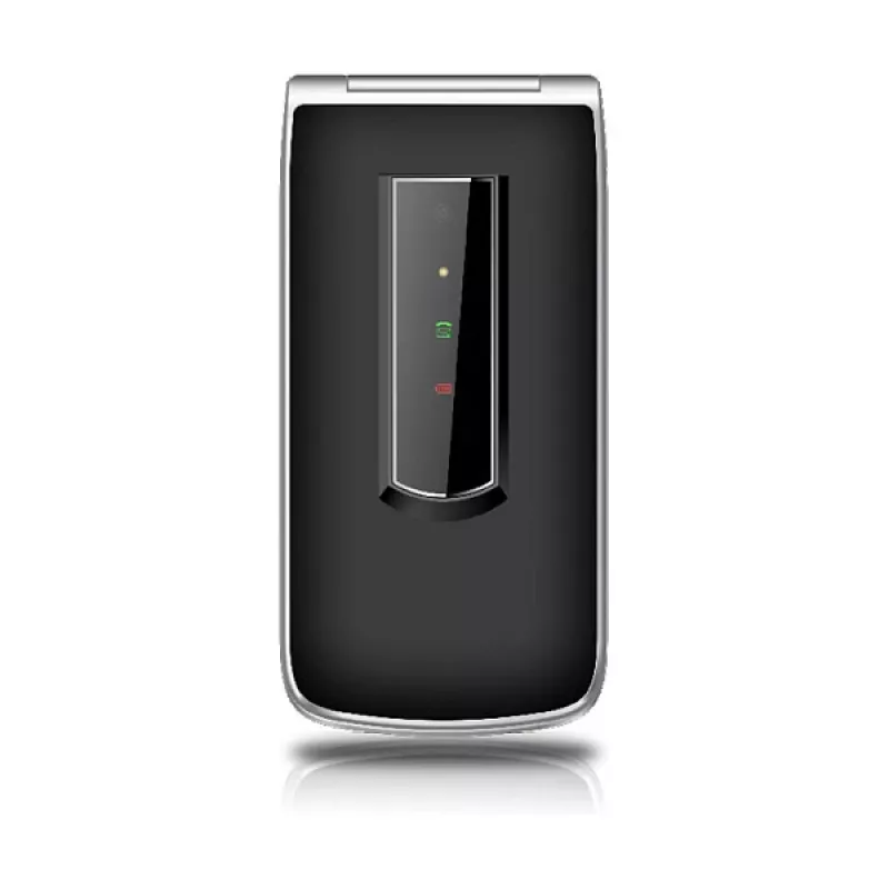 Beafon SL495LTE_EU003B Srebrny