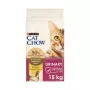 Purina Cat Chow Special Care Urinary Tract Health - sucha karma dla kotów 15 kg Adult Chicken