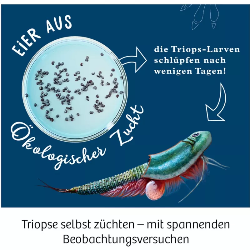 Kosmos 633073 Triops World zestaw naukowy