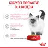 Mokra karma dla kota Royal Canin Kitten Gravy 85 g — drób, 78% wilgotności, 12% białka