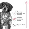 Sucha karma dla psów Royal Canin SHN Medium Adult 15 kg — kompletne żywienie dla dorosłych psów ras średnich, drób, 25% białka, 14% tłuszczu