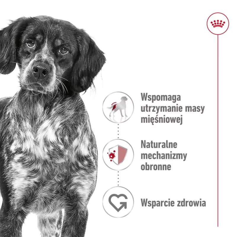 Sucha karma dla psów Royal Canin SHN Medium Adult 15 kg — kompletne żywienie dla dorosłych psów ras średnich, drób, 25% białka, 14% tłuszczu