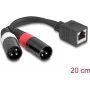 Kabel audio DeLOCK 0,2 m RJ-45 2 x XLR (3-stykowe) czarny 88179