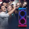 Głośnik przenośny MANTA SPK0601B100, 100 W, Bluetooth, karaoke, mikrofon bezprzewodowy, bateria, korektor, oświetlenie dyskotekowe