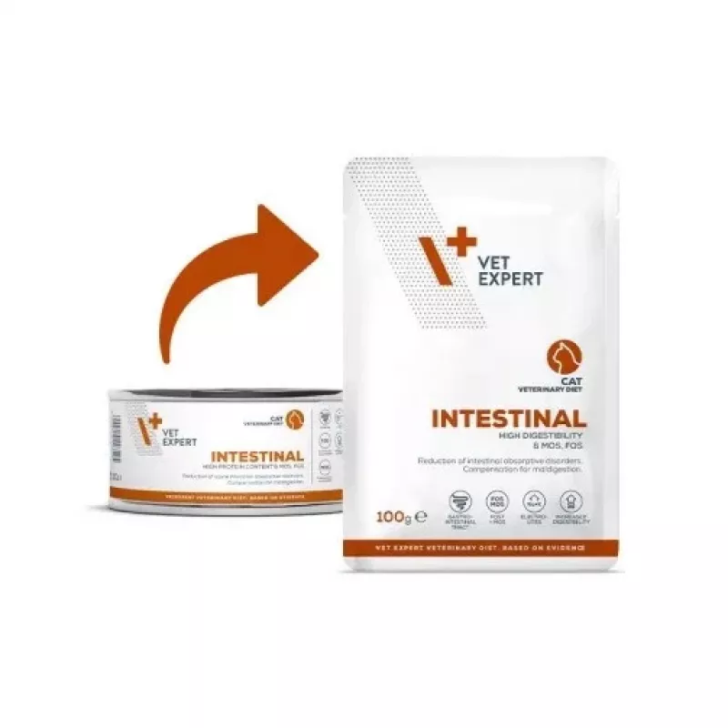 VetExpert Veterinary Diet Intestinal mokra karma dla kotów 100 g