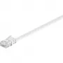 Wentronic 95150 Kabel krosowy Ethernet biały