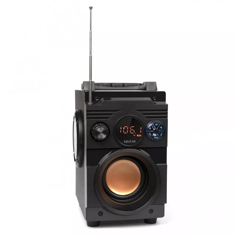 Głośnik Bluetooth 5.1 Squeak Bassblaster, Radio FM, Odtwarzacz MP3 SQ1001