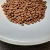PUPIL Prime Mini bogata w wołowinę z wątróbką - sucha karma dla psów - 1,4 kg