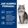 HILL'S Prescription Diet Liver Care - sucha karma dla kota - 1,5 kg