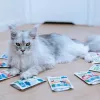 ANIMAL ISLAND Karma dla kota z indykiem w bulionie 40x85g monoporcja