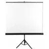 Ekran projekcyjny Avtek Tripod Standart 175 1:1