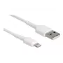 Kabel ładujący USB DeLOCK 87866 do iPhone iPad iPod 30 cm