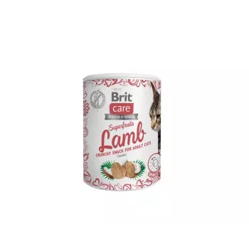 Przysmak dla kota Brit Treat Superfruits Jagnięcina 100 g — mięsny, bezzbożowy, bez konserwantów, dla dorosłych kotów