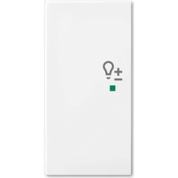 Busch-Jaeger 2CKA006220A0364 Płytka maskująca do uchwytu czujnika i gniazda, biała (2CKA006220A0364)