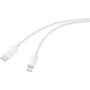 Kabel USB Renkforce USB 2.0 Wtyczka USB-C Wtyczka Apple Lightning Biały (RF-6857550)