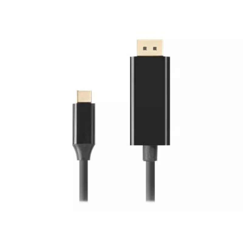 Adapter USB-C na DisplayPort Lanberg CA-CMDP-10CU-0018-BK Czarny 1,8 m