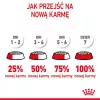 Sucha karma dla kota Royal Canin Kitten 2 kg — formuła z drobiem (kurczakiem), białko 36%, tłuszcz 18%