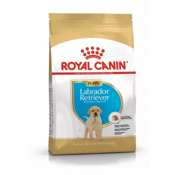 ROYAL CANIN SHN Breed Labrador Junior karma sucha dla psa - 12 kg