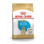 ROYAL CANIN SHN Breed Labrador Junior karma sucha dla psa - 12 kg