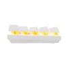 Urządzenie sieciowe Baracuda DOLPHIN-W-Czerwony białe