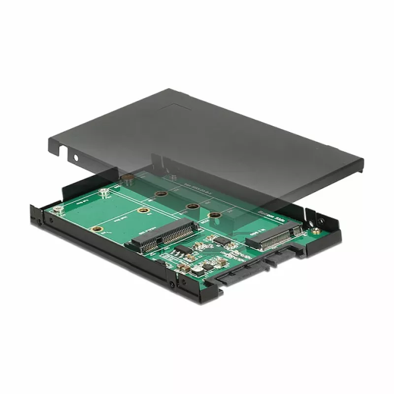 Karta interfejsu DeLOCK 62866 Wewnętrzna M.2 mSATA