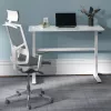 Biurko z ręczną regulacją wysokości Ergo Office, max 40 kg, maks. wysokość 117 cm, z blatem do pracy stojąco-siedzącej, ER-401 W