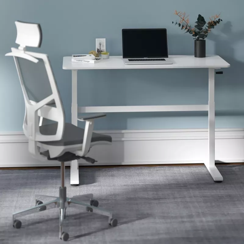 Biurko z ręczną regulacją wysokości Ergo Office, max 40 kg, maks. wysokość 117 cm, z blatem do pracy stojąco-siedzącej, ER-401 W