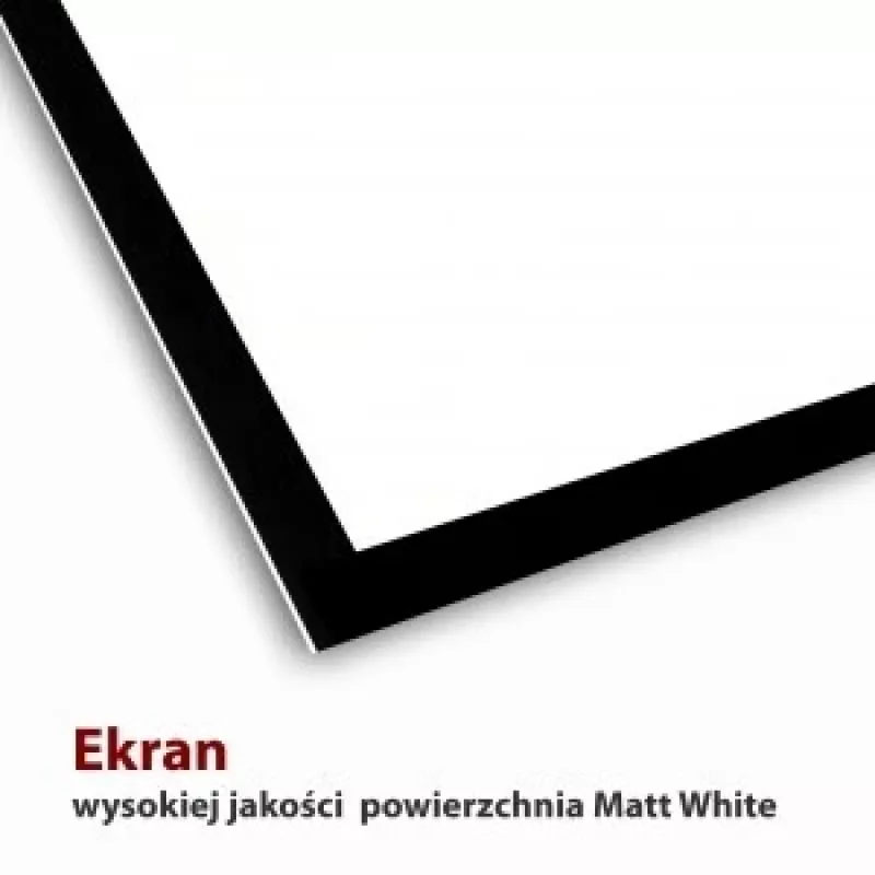 Ekran elektryczny 16:9 119 z pilotem 264x147cm FS-119 16 9