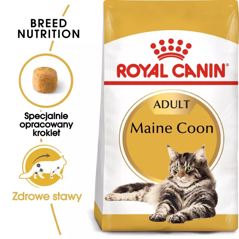 Royal Canin FBN Maine Coon Adult sucha karma dla kotów, 4 kg