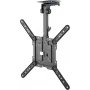 Goobay TV-Ceiling Mount Basic (M), czarny (70824)