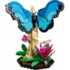 LEGO IDEAS 21342 Kolekcja owadów