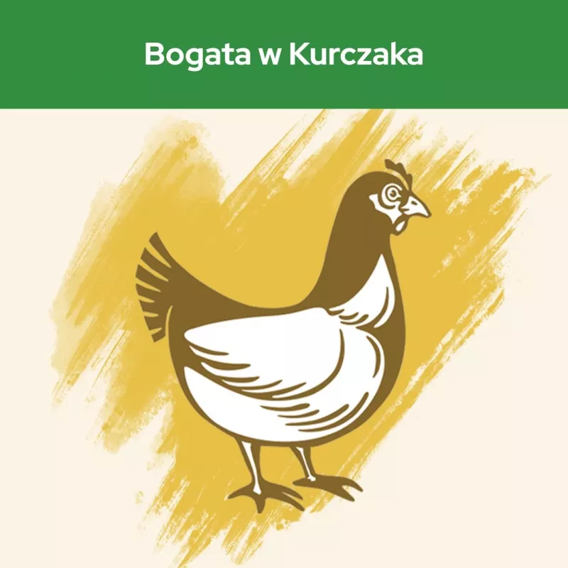 Purina CAT CHOW STERILISED sucha karma dla kotów 1,5 kg Dorosłe Kurczak
